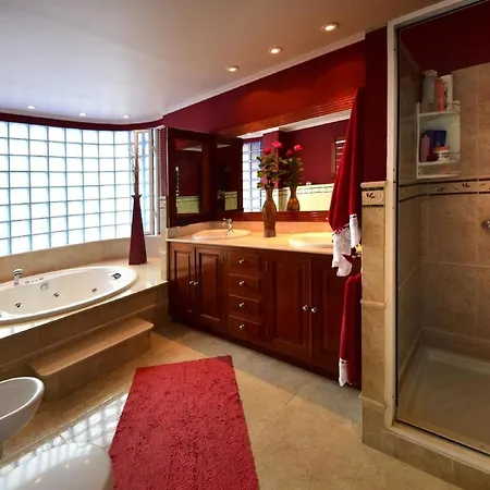 Haus Alina Mit Beheizbarem Privatpool Und Barbecue Prázdninový dům Puerto de la Cruz (Tenerife)